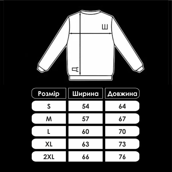 Кофта мужская свитшот с принтом Back to the future Назад в будущее 31-back (XL) фото